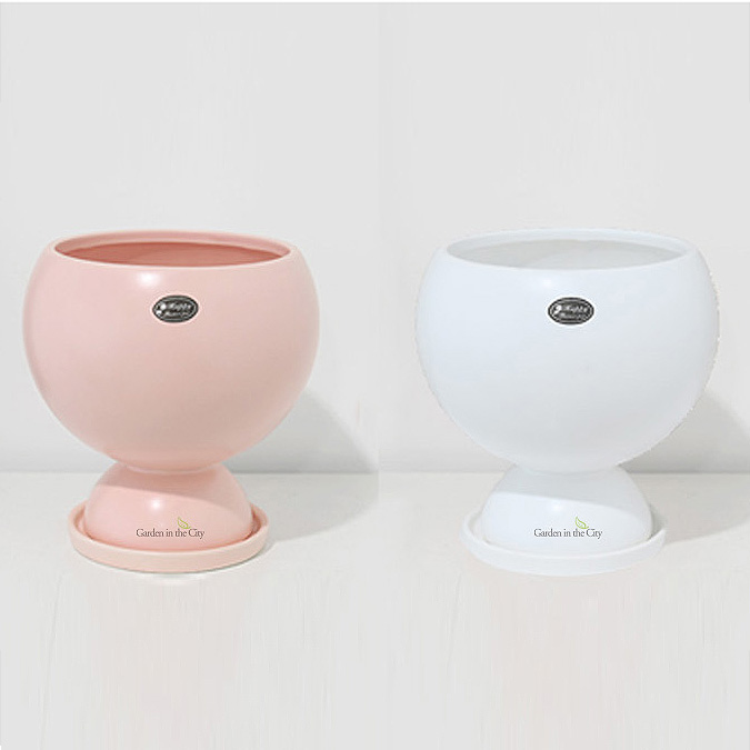 이미지 상세보기