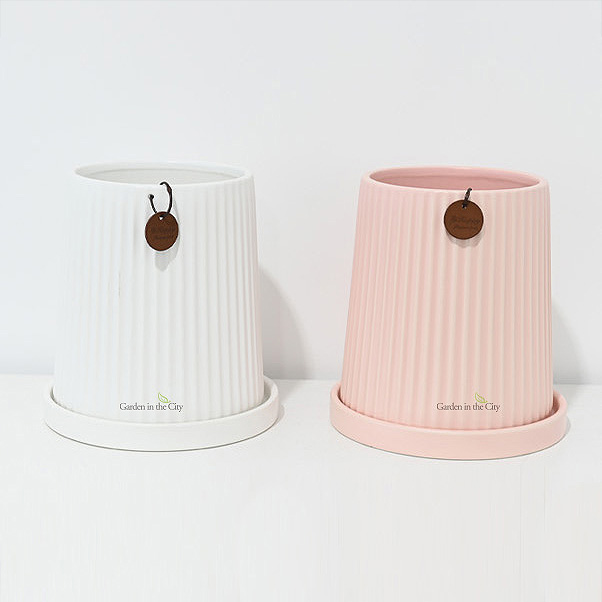 이미지 상세보기