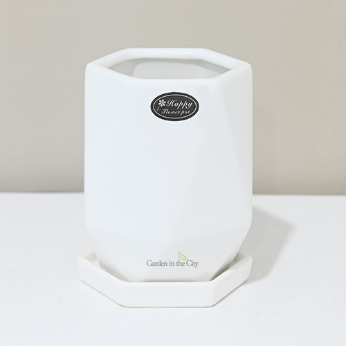 이미지 상세보기