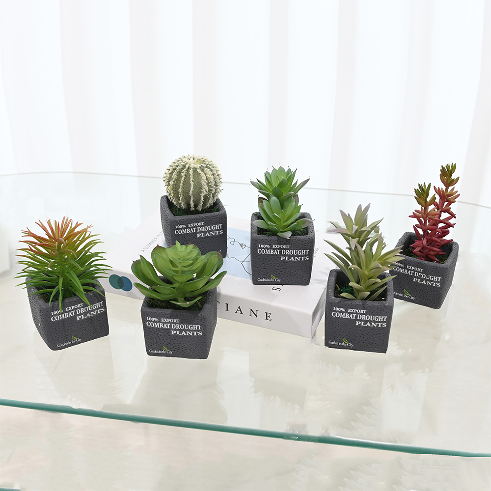 이미지 상세보기