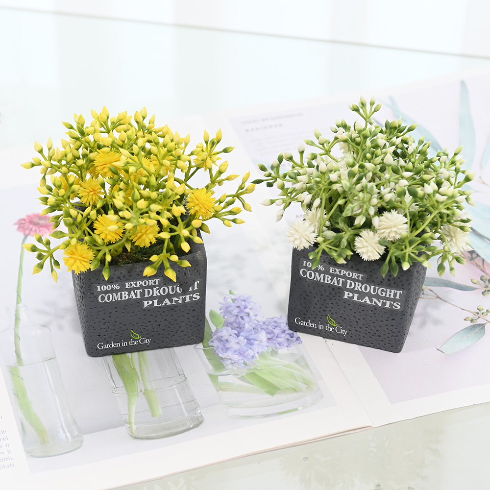 이미지 상세보기