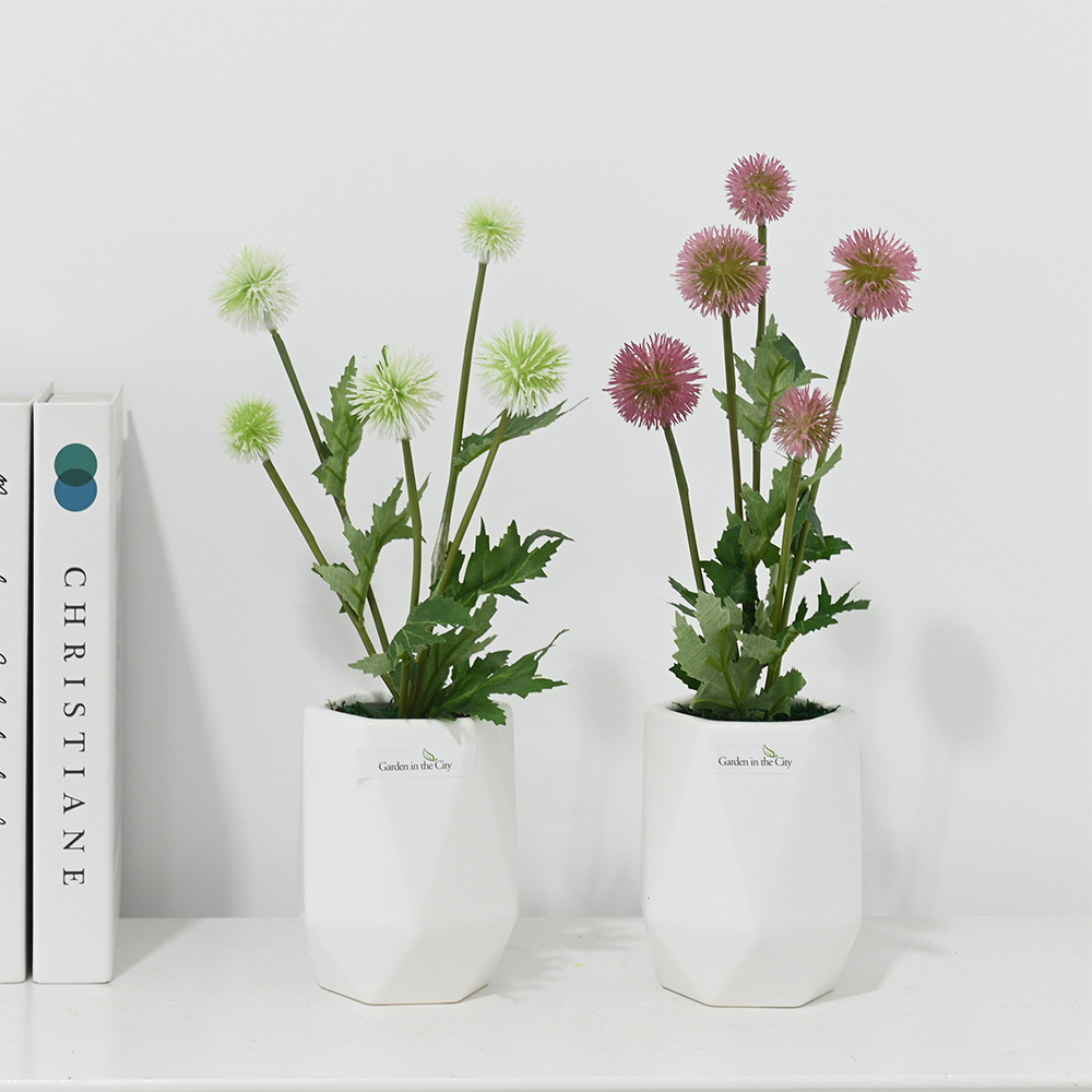 이미지 상세보기