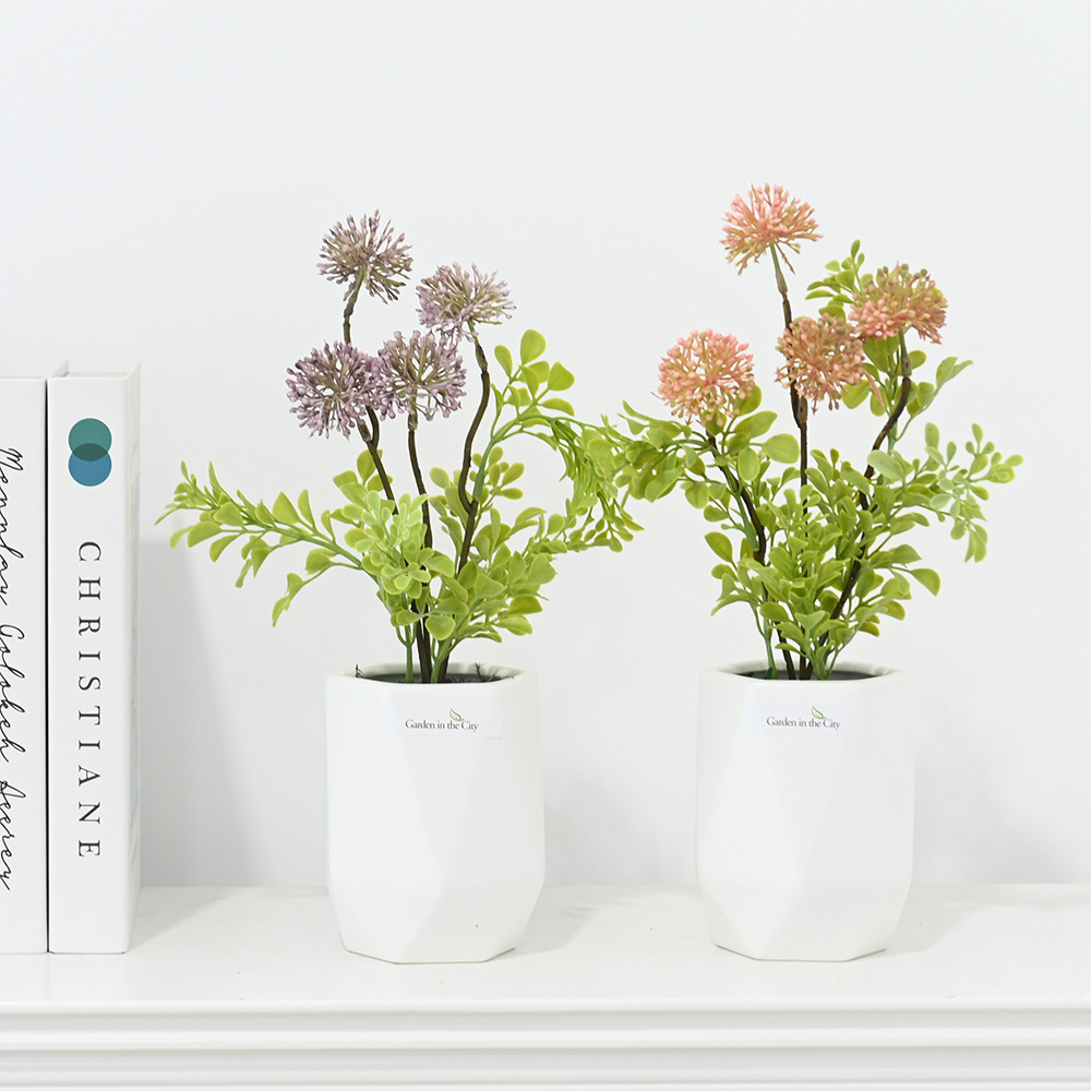 이미지 상세보기