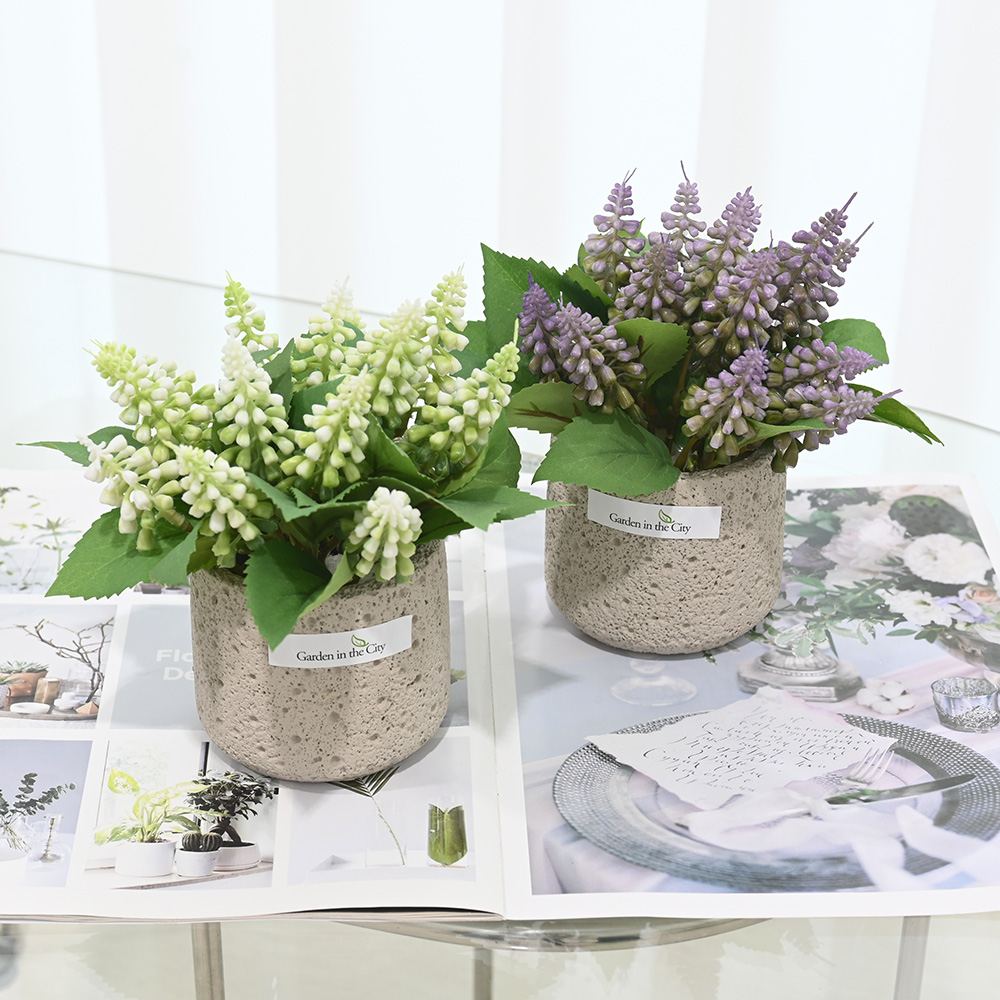 이미지 상세보기