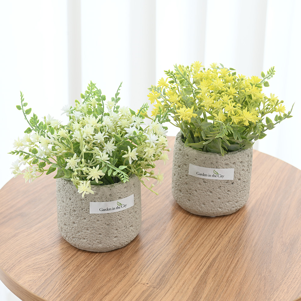 이미지 상세보기