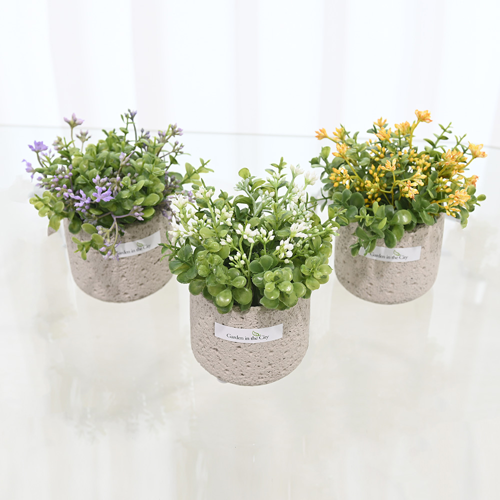 이미지 상세보기