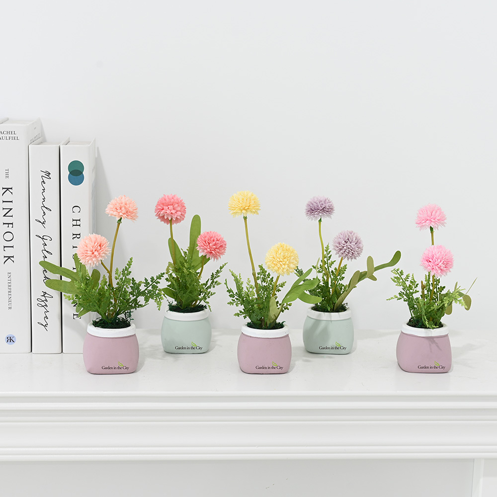 이미지 상세보기