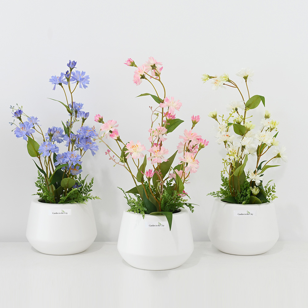 이미지 상세보기