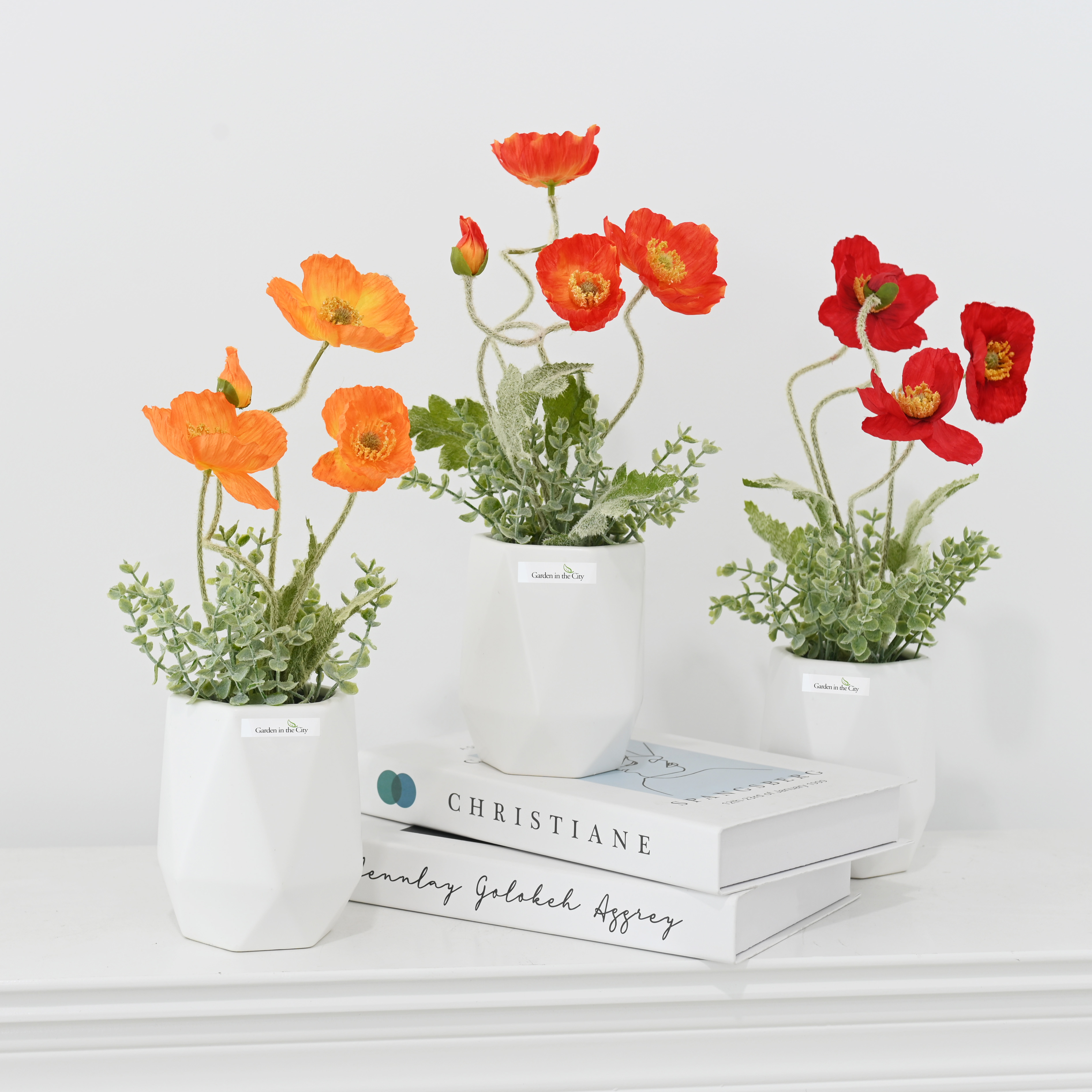 이미지 상세보기