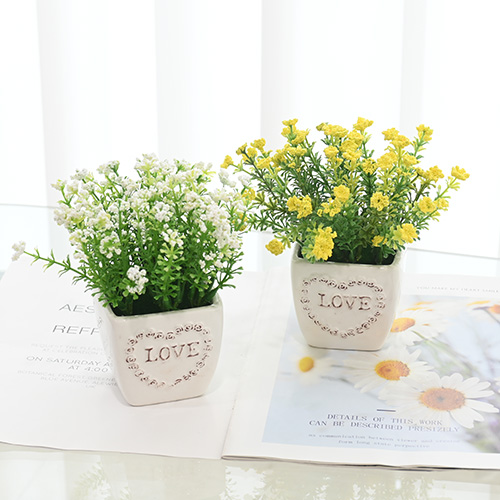 이미지 상세보기