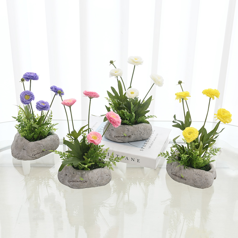 이미지 상세보기