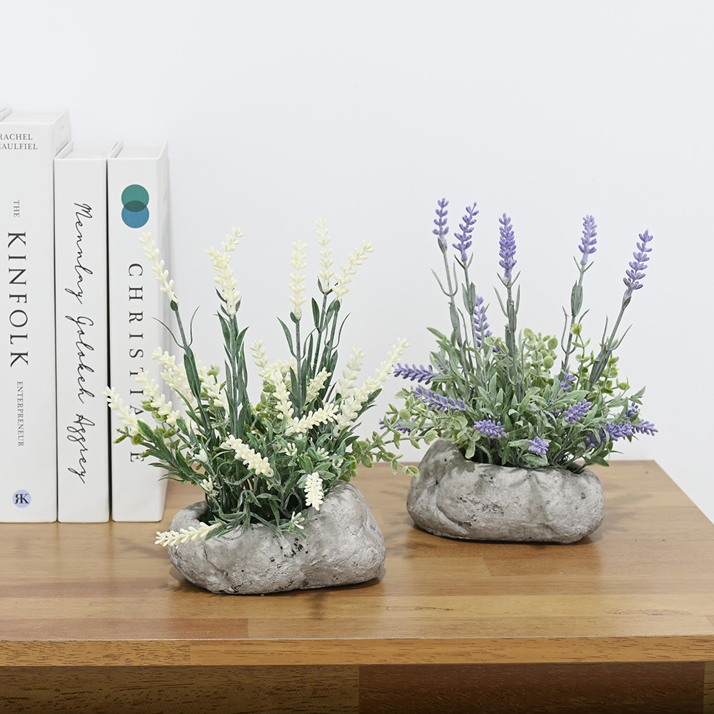 이미지 상세보기