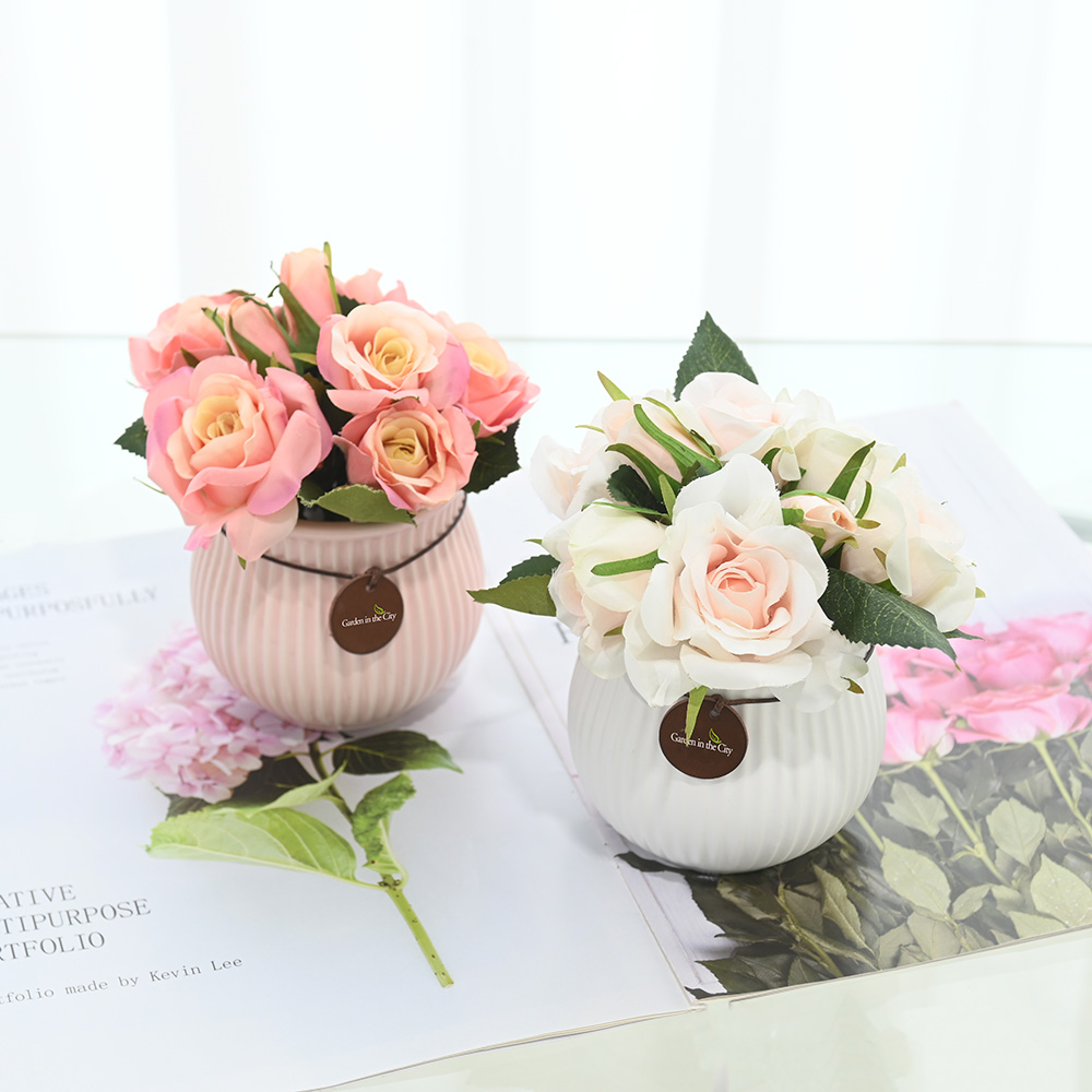 이미지 상세보기