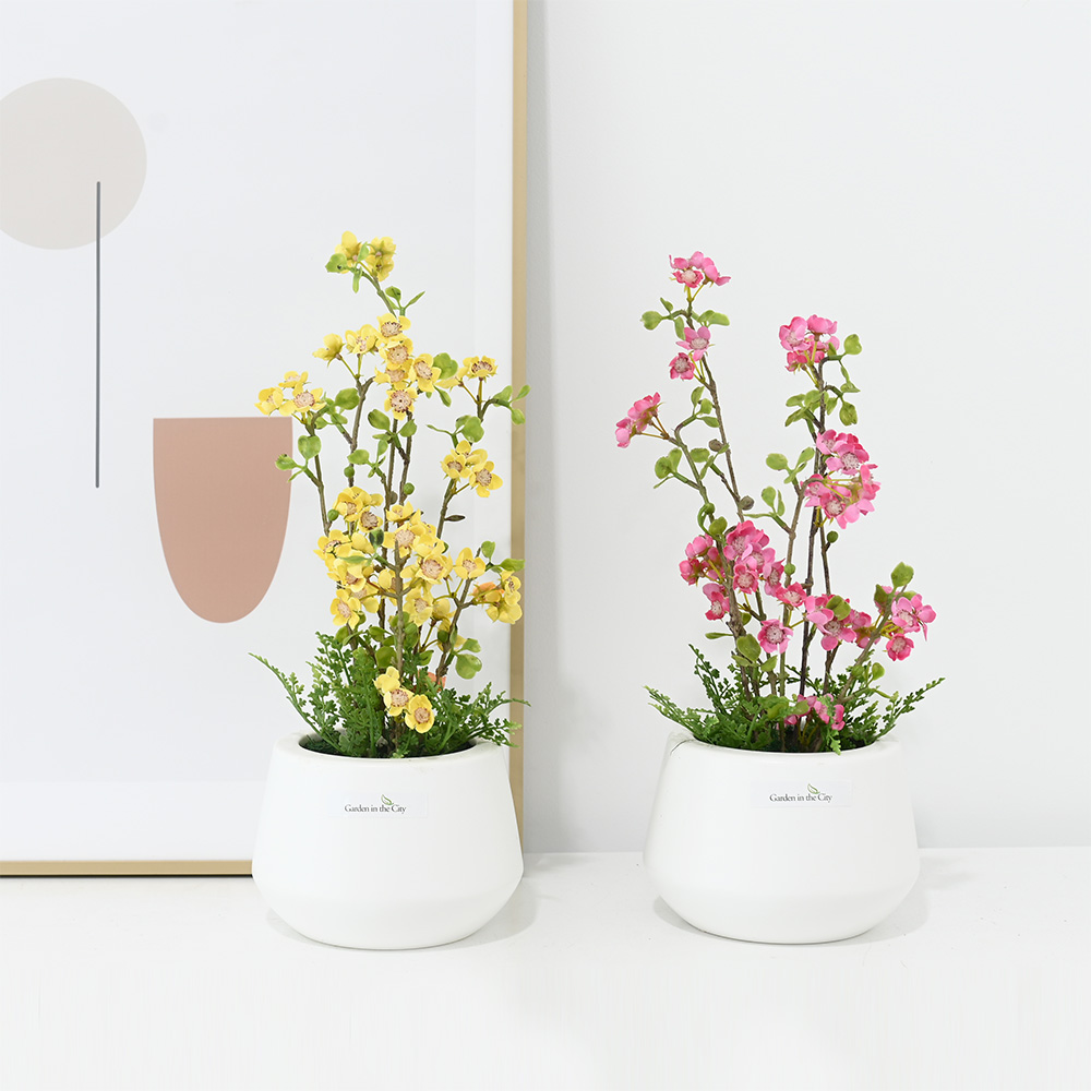 이미지 상세보기