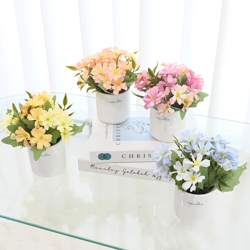 이미지 상세보기