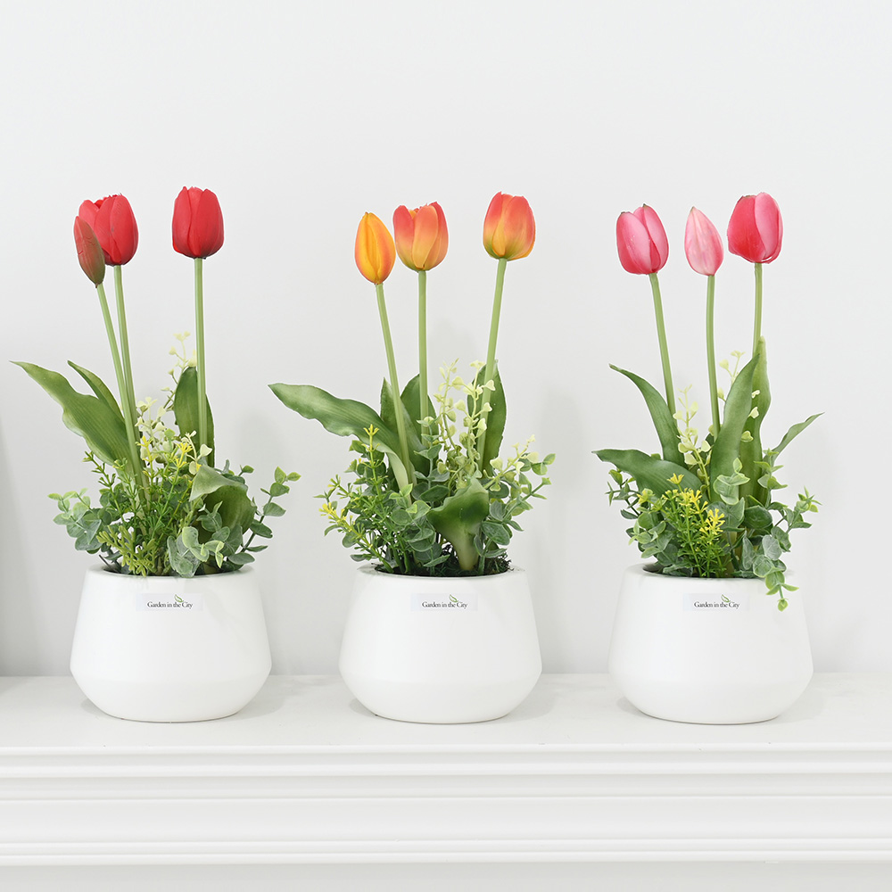 이미지 상세보기