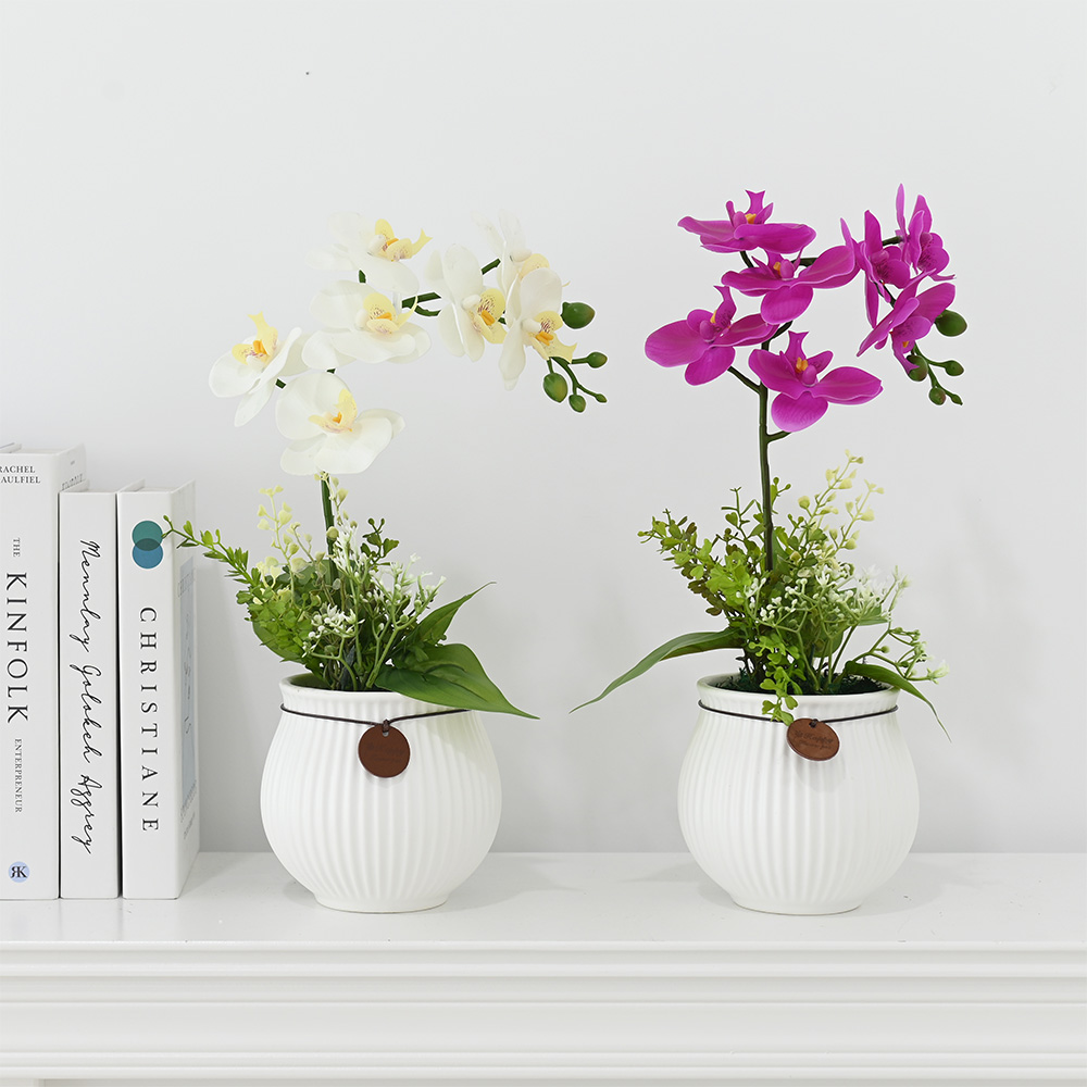 이미지 상세보기