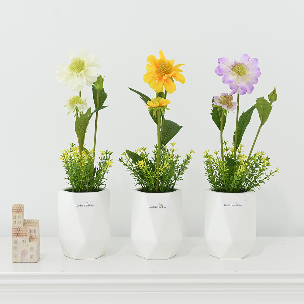 이미지 상세보기