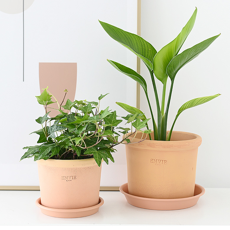 이미지 상세보기