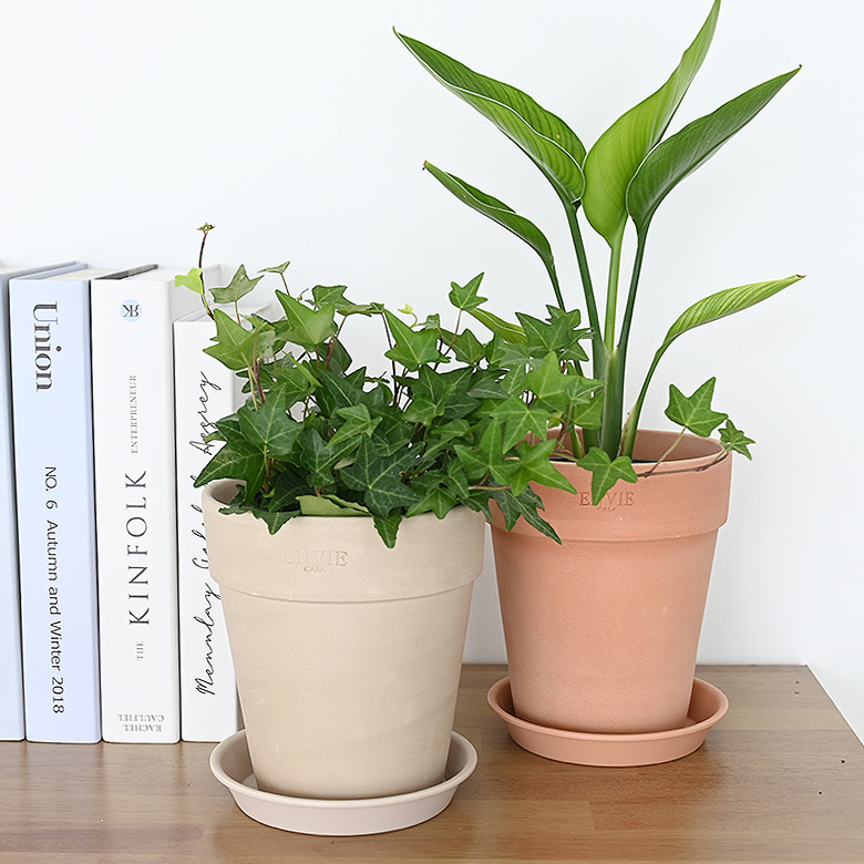 이미지 상세보기