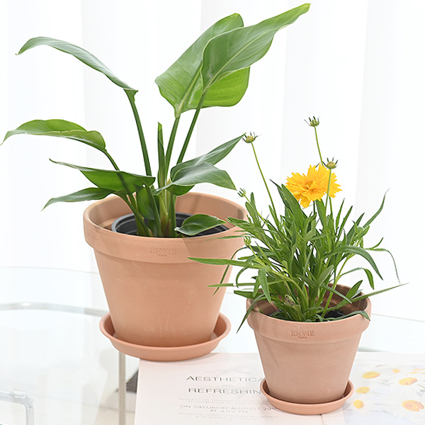 이미지 상세보기