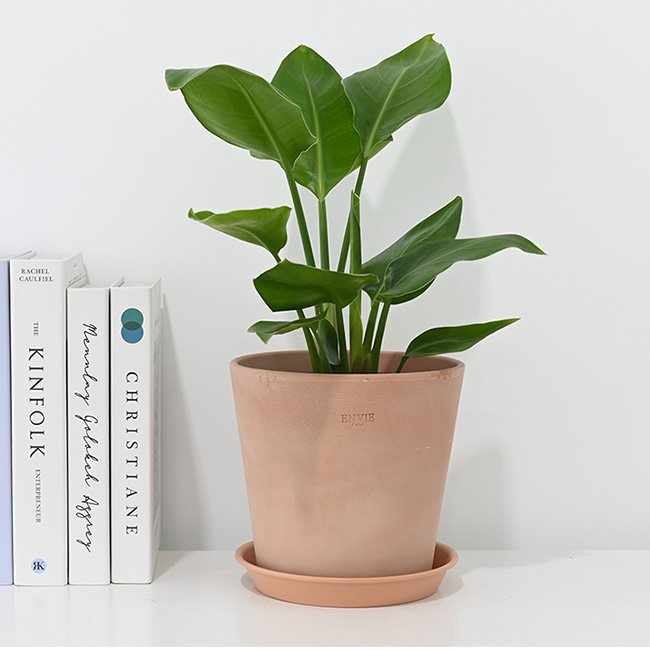 이미지 상세보기