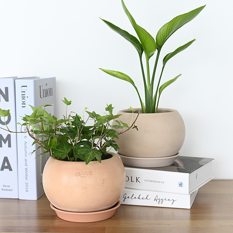 이미지 상세보기