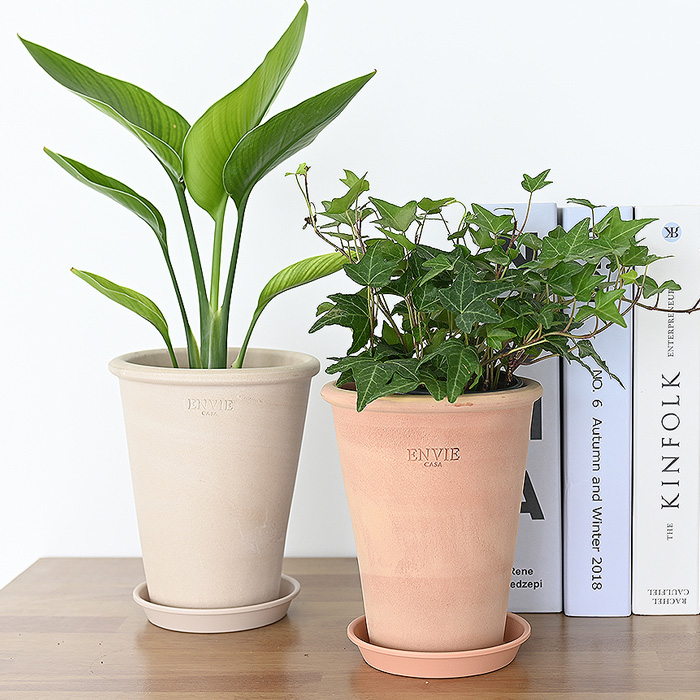 이미지 상세보기