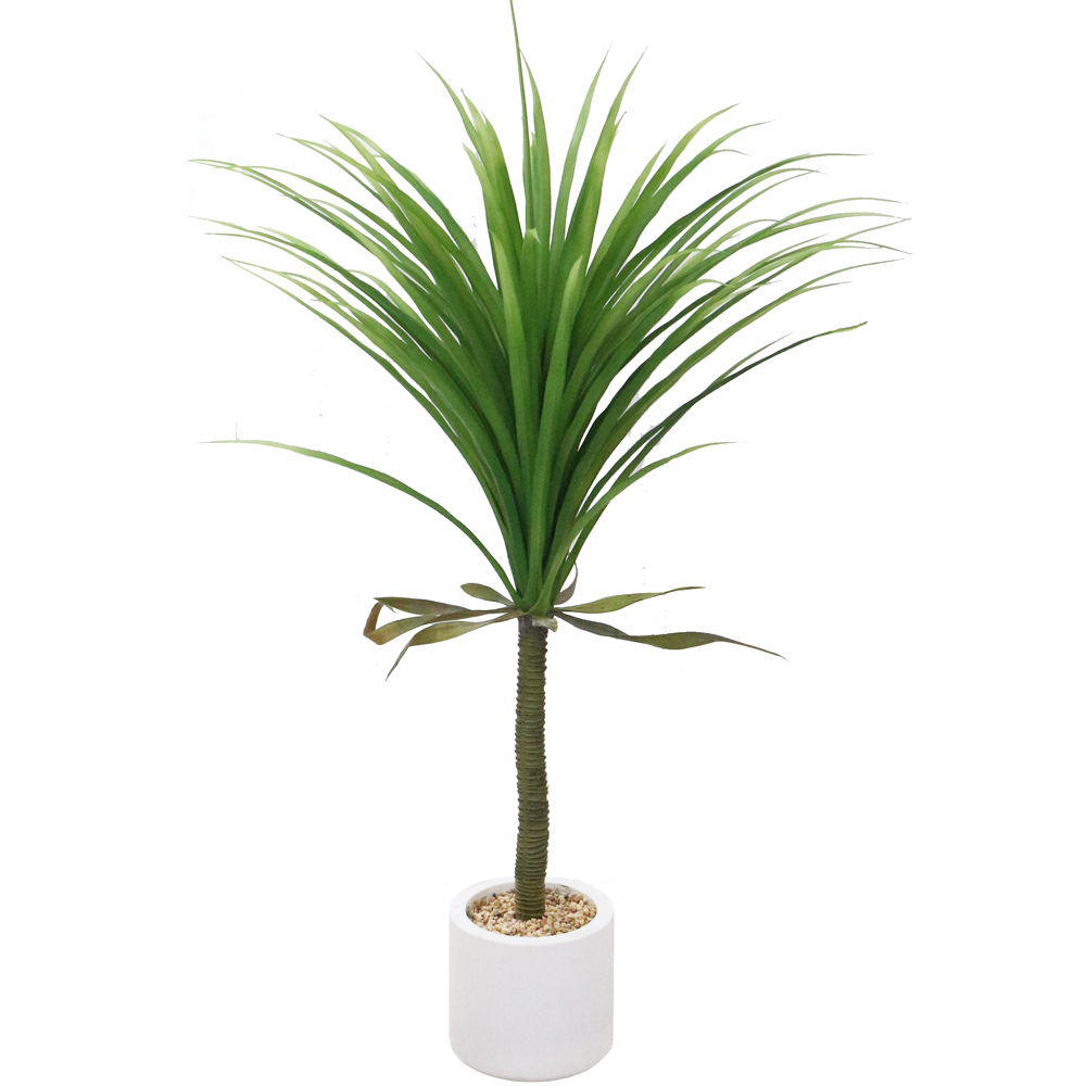 이미지 상세보기