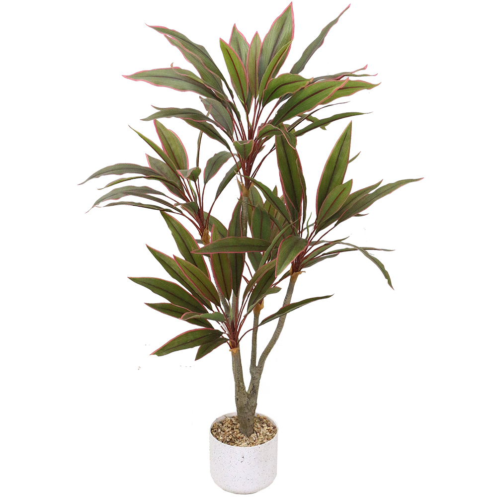 이미지 상세보기