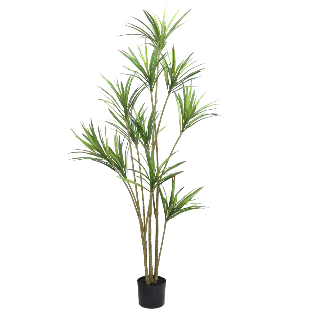 이미지 상세보기