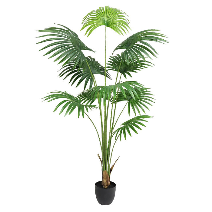 이미지 상세보기