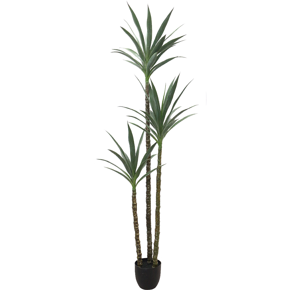 이미지 상세보기