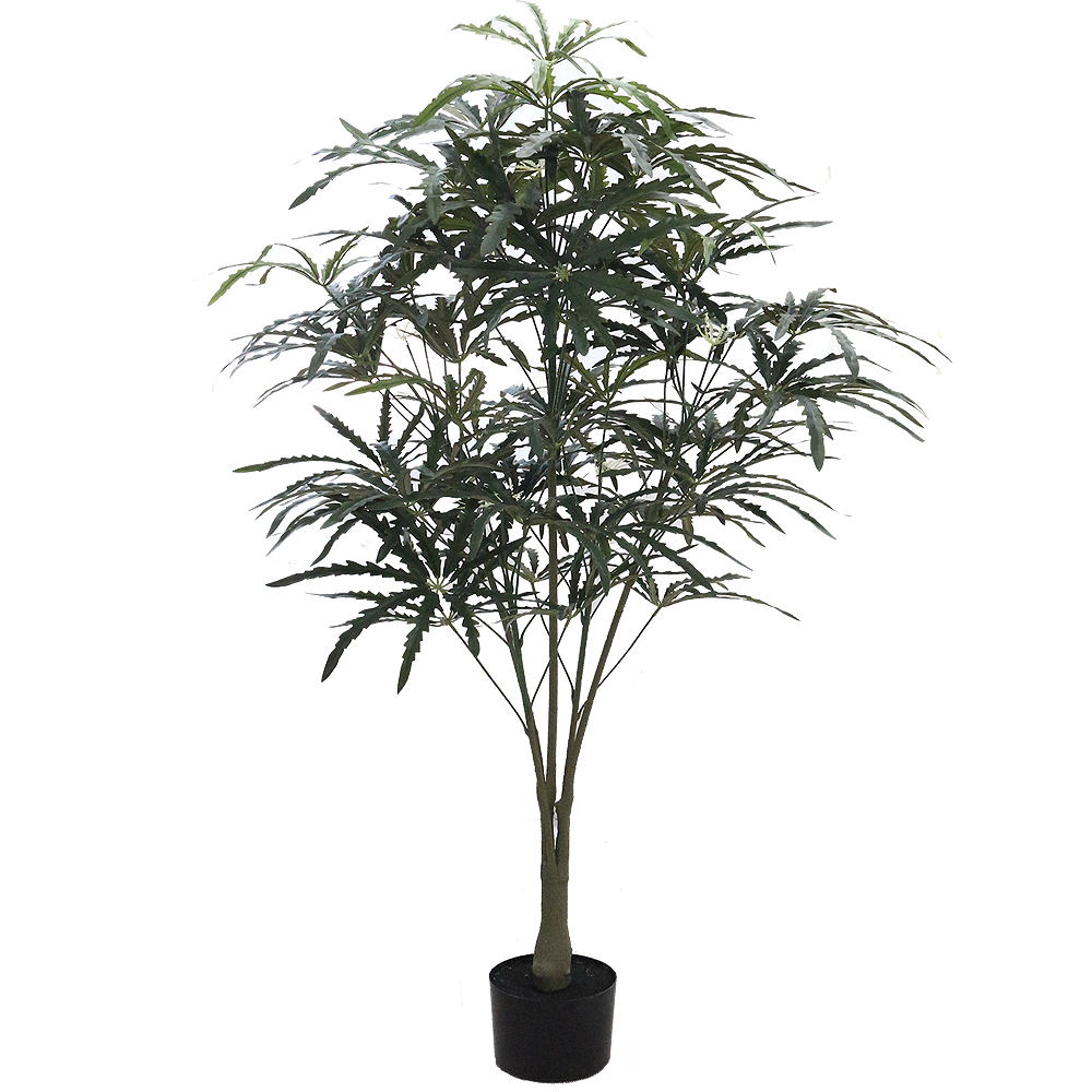 이미지 상세보기