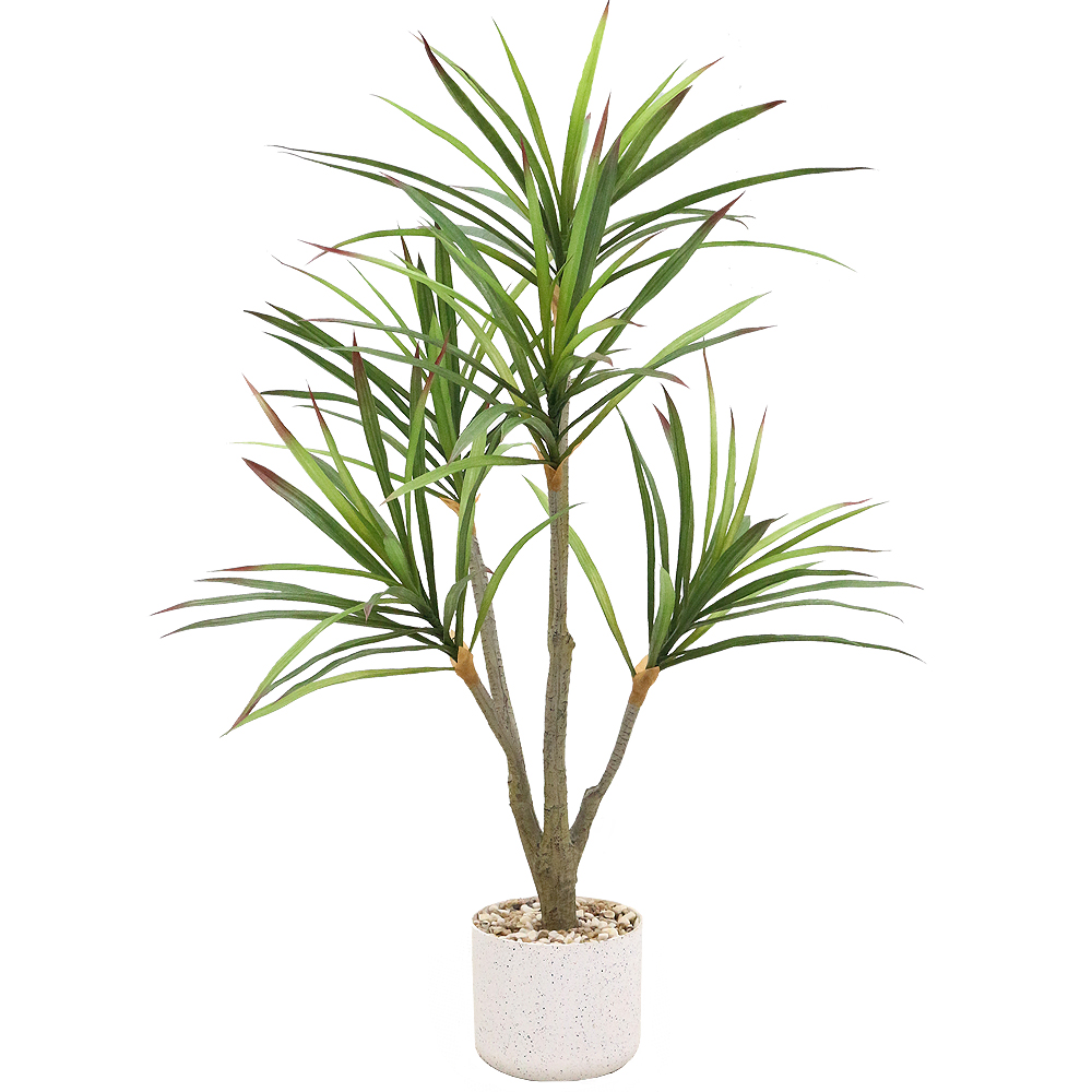 이미지 상세보기