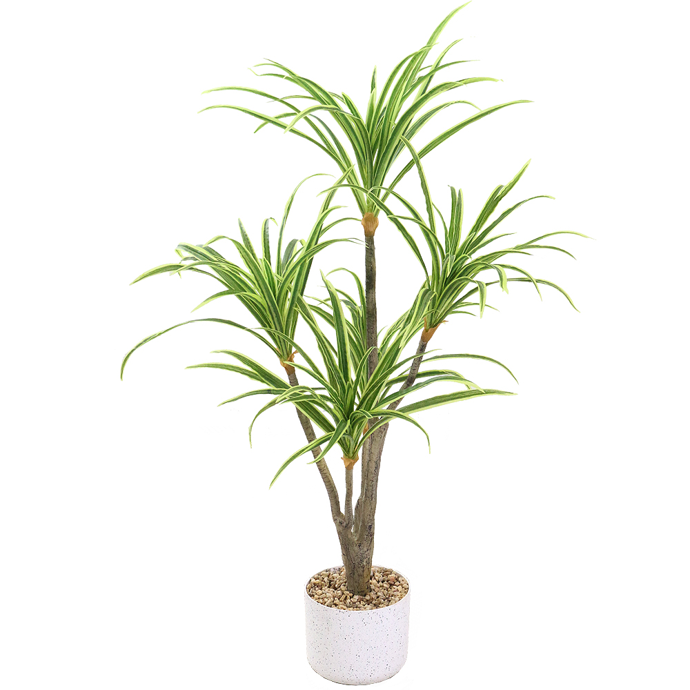 이미지 상세보기