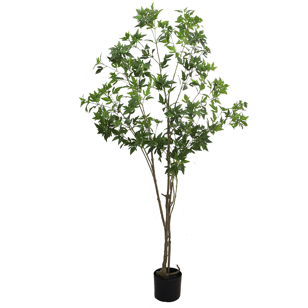 이미지 상세보기