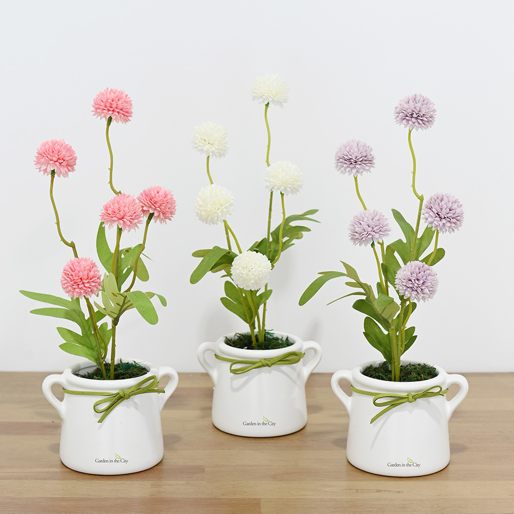 이미지 상세보기