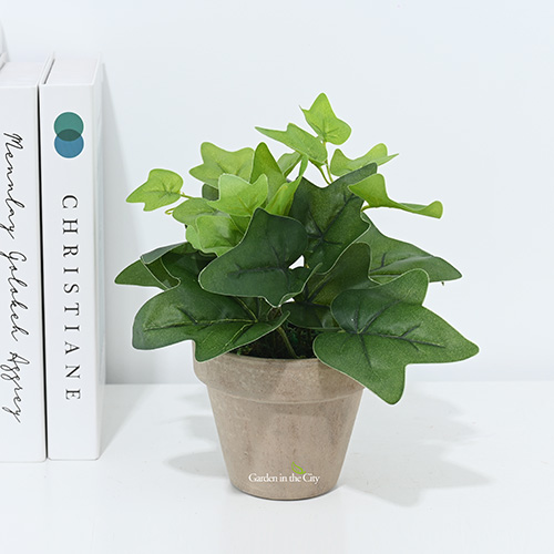 이미지 상세보기