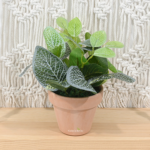 이미지 상세보기