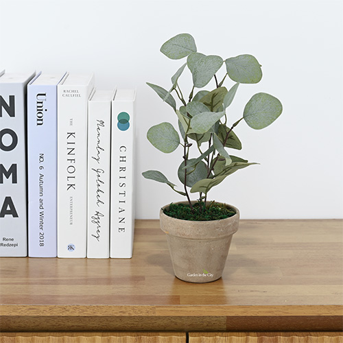 이미지 상세보기