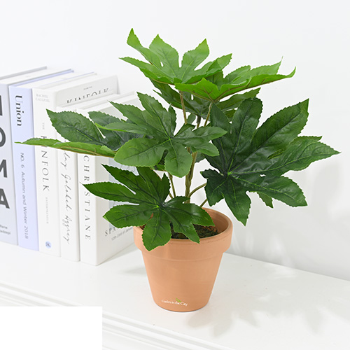 이미지 상세보기