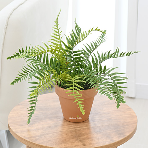 이미지 상세보기