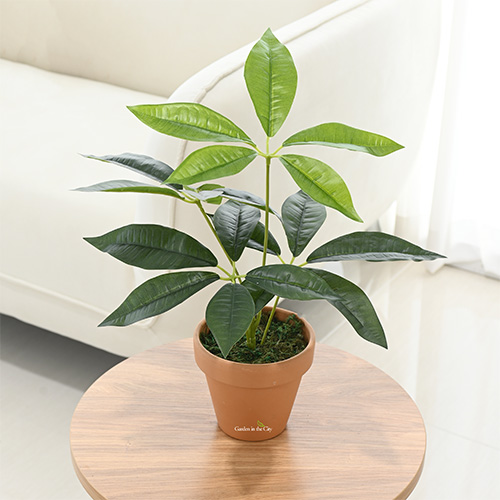 이미지 상세보기