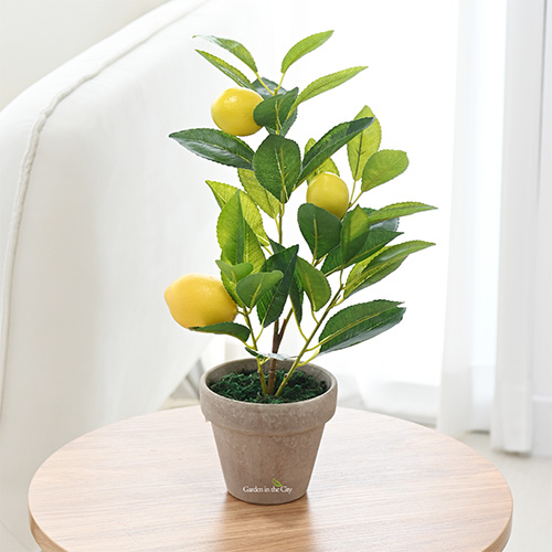 이미지 상세보기