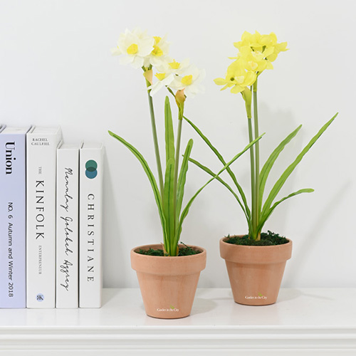 이미지 상세보기