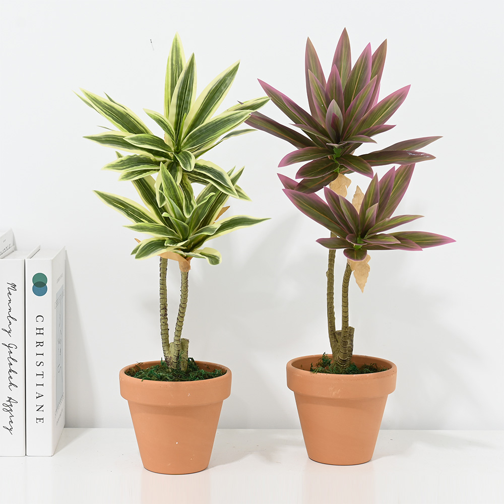 이미지 상세보기